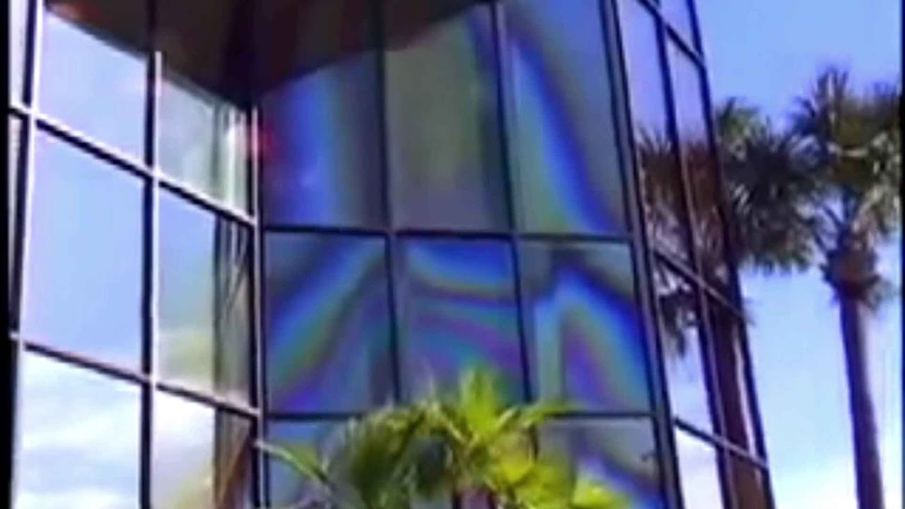Miracle in Clearwater: The Virgin Mary of Clearwater FL