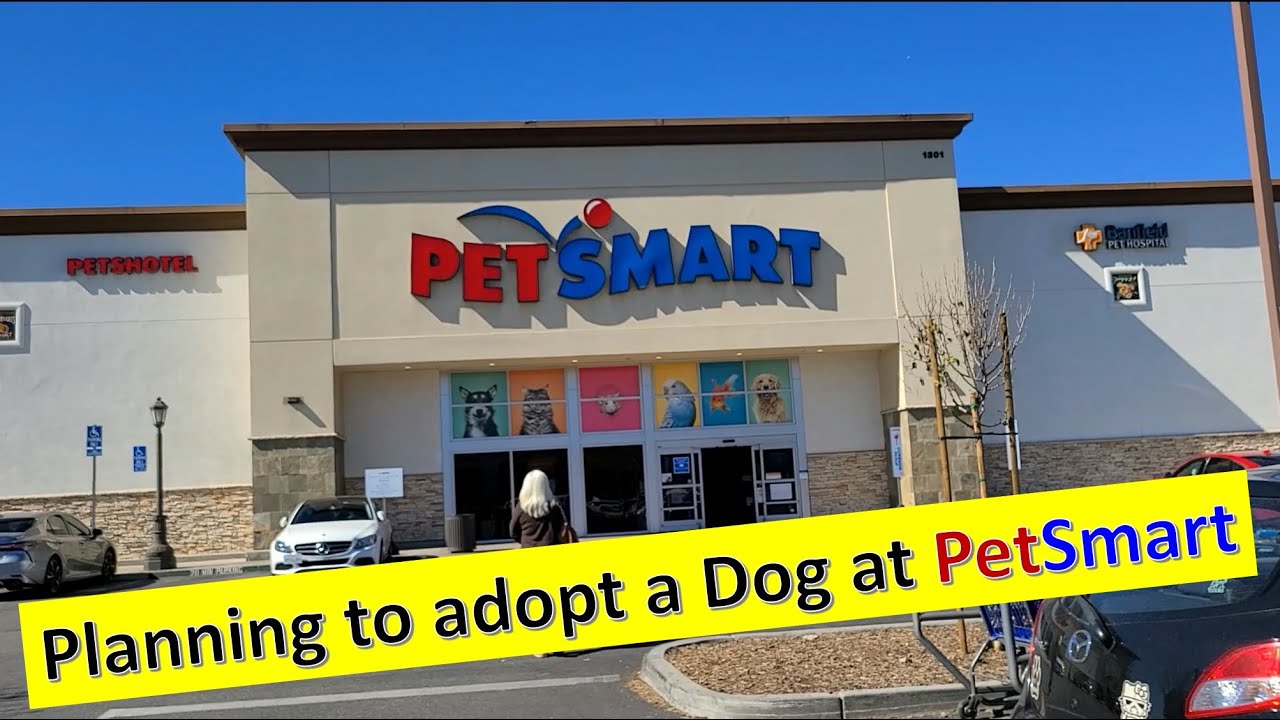 PetSmart Store I Adopting a Doggie