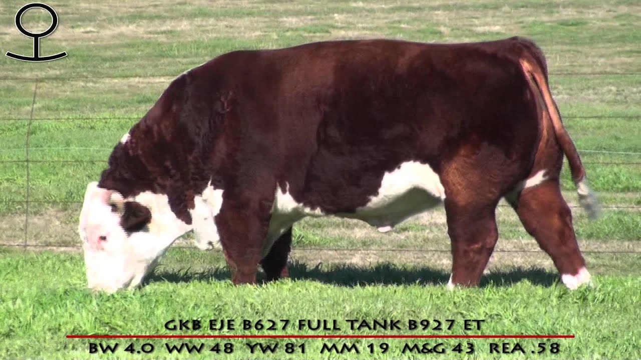 GKB EJE B627 FULL TANK B927 ET