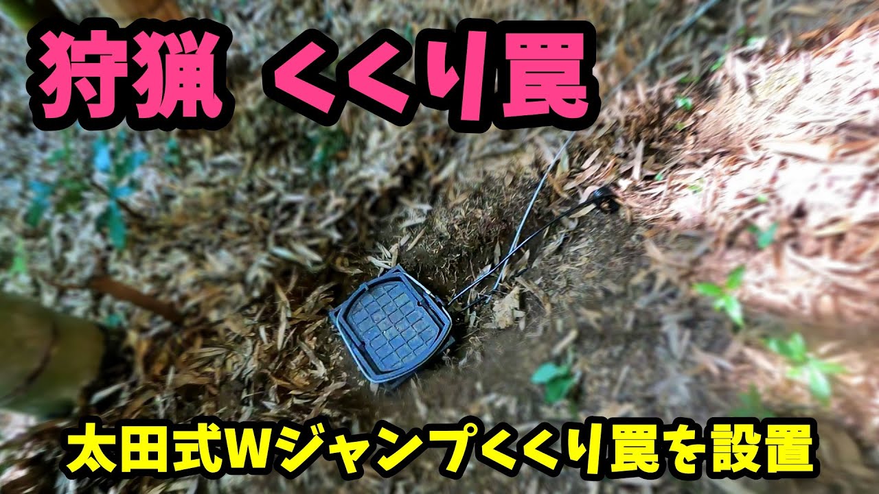【狩猟】くくり罠（ねじりバネ＋跳ね上げ式踏み板）太田式Wジャンプくくり罠を設置する