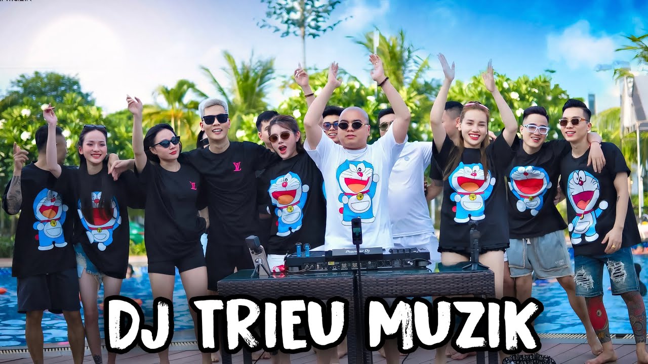 VIỆT MIX 2025 | NHẠC BỂ BƠI - NHẠC NGHE TRÊN XE - TEAM TRIỆU MUZIK