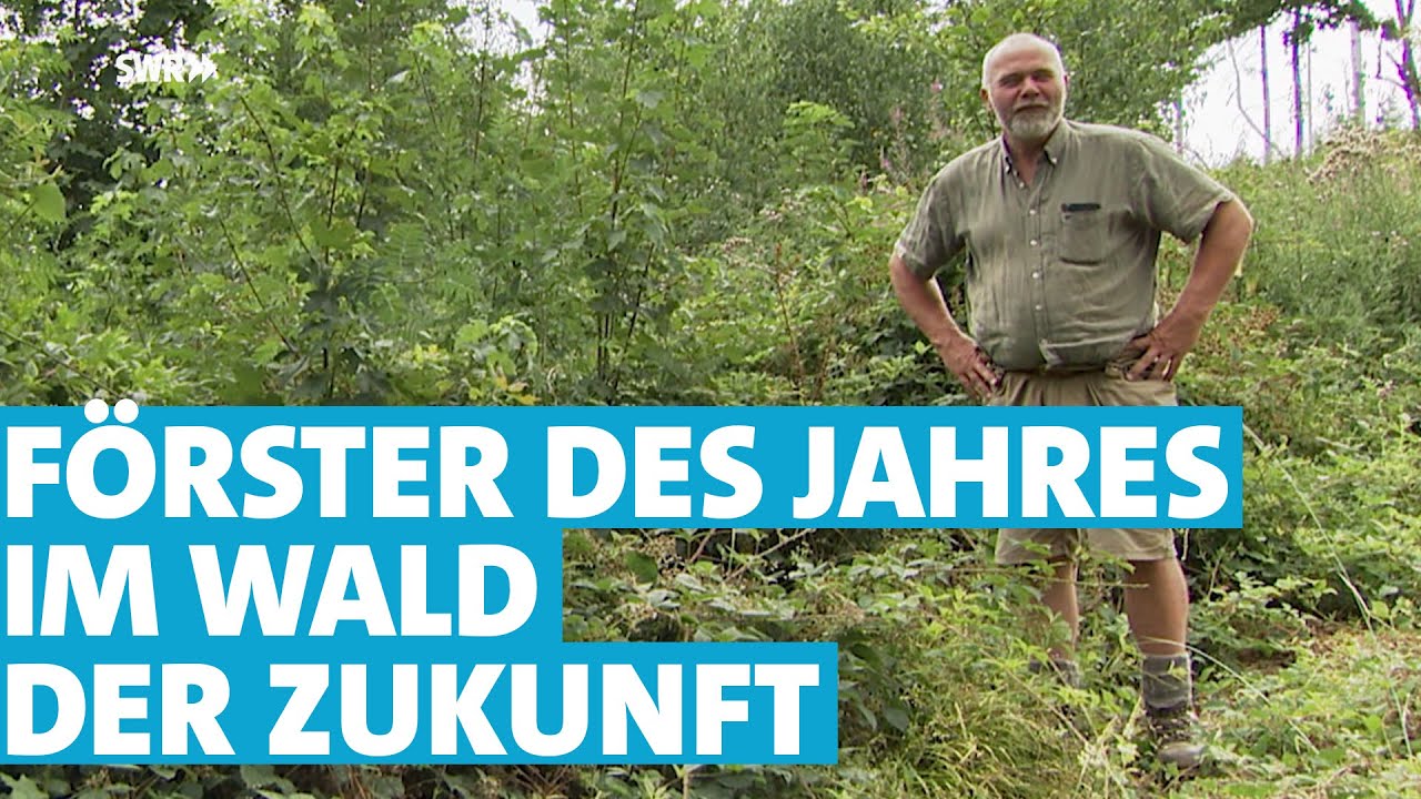 Auf dem Rad durchs Revier: Der Förster des Jahres 2023 kommt aus Rheinland-Pfalz