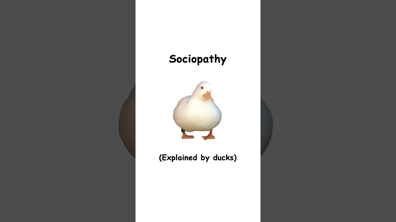 Sociopathy (explained by ducks)