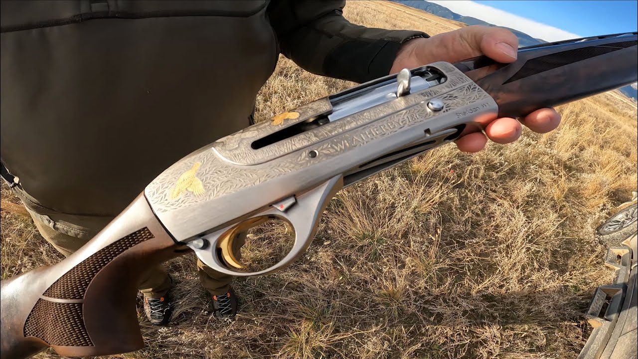 Pheasant Hunt -Weatherby 18i Limited Review