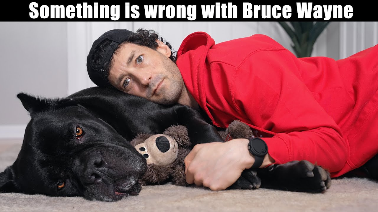 Something is Wrong with Bruce Wayne