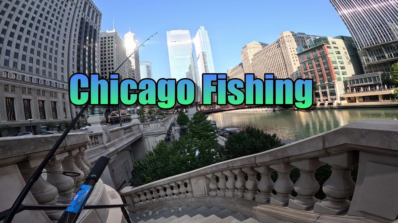 Salmon and Bass Fishing Fall 2024