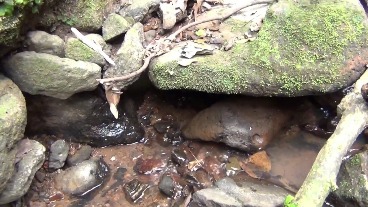 Olha só onde estão as pedras preciosas !!