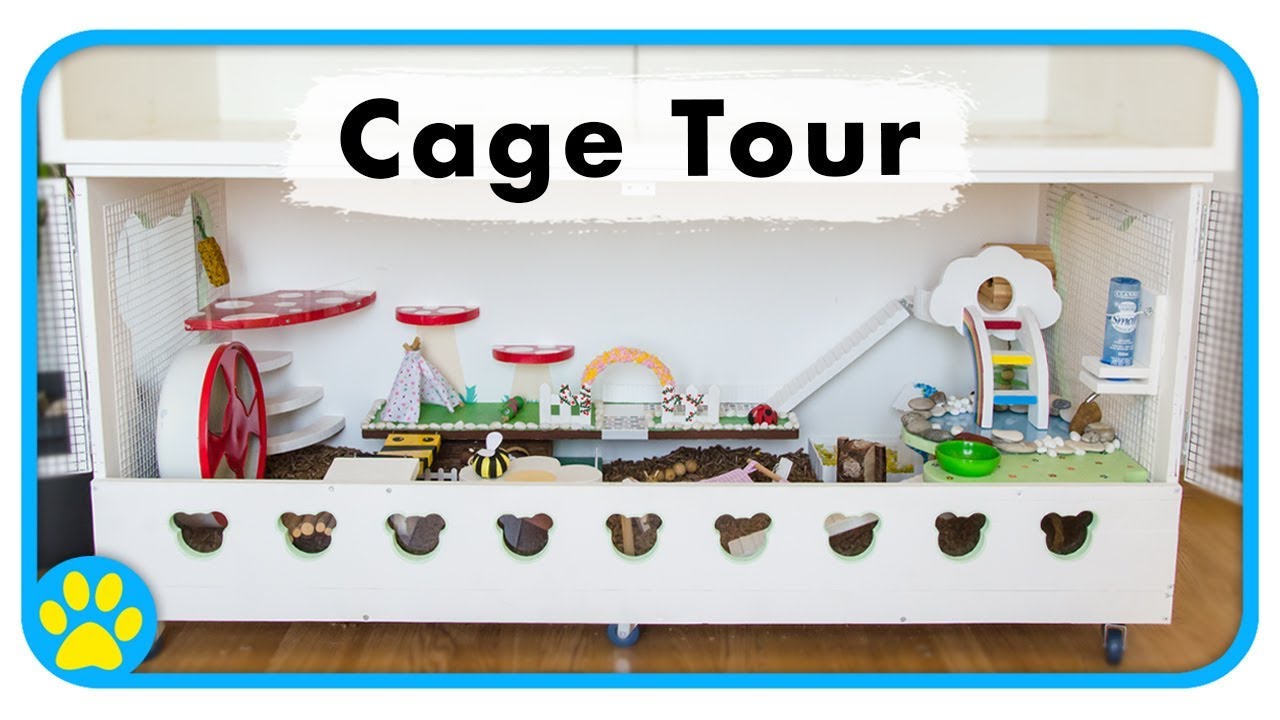 1300sq inch Hamster Cage Tour | The Beaker Cage