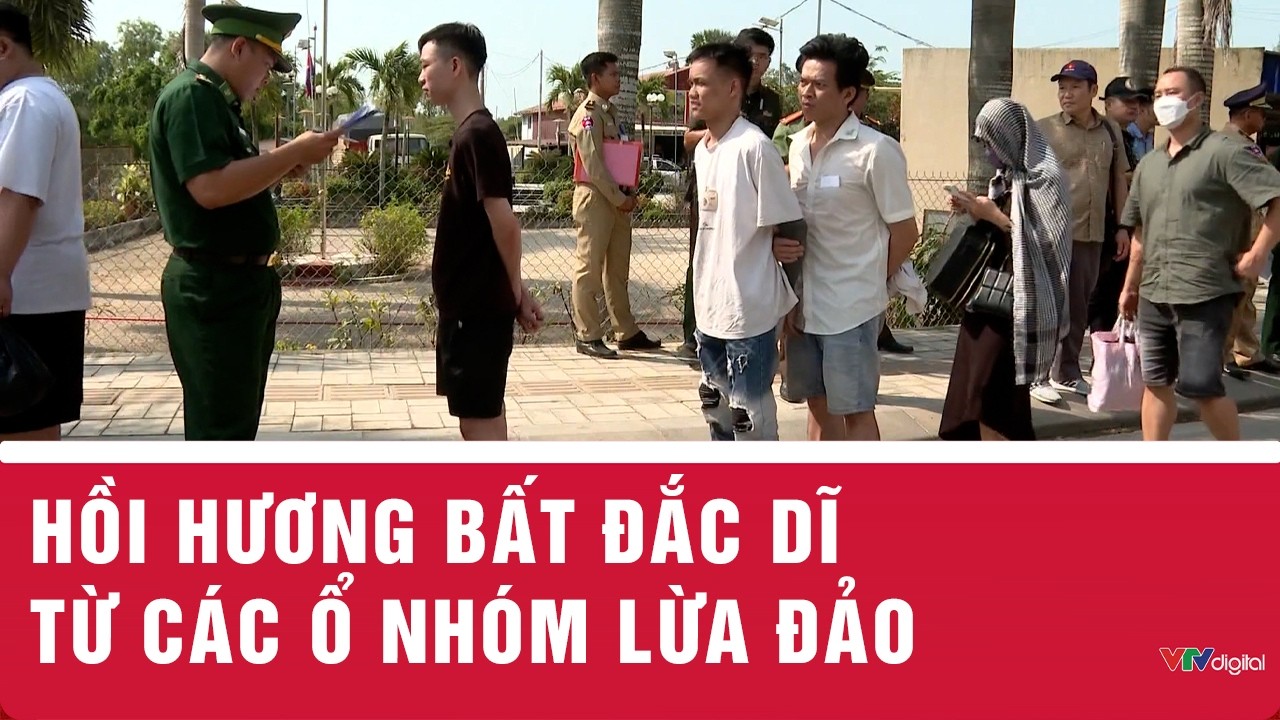 Hồi hương bất đắc dĩ từ các ổ nhóm lừa đảo | VTV24