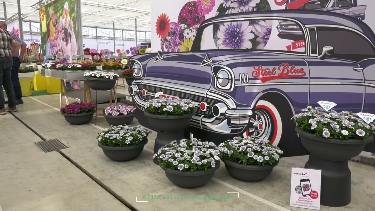 Flower Trials