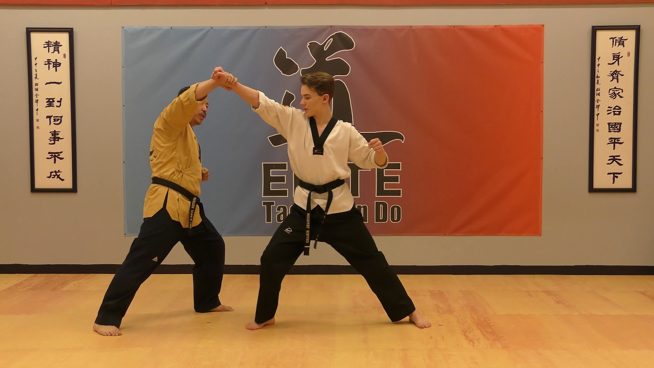 Elite Taekwondo - H.Brown/Red/H.Red Belt one step sparring skills