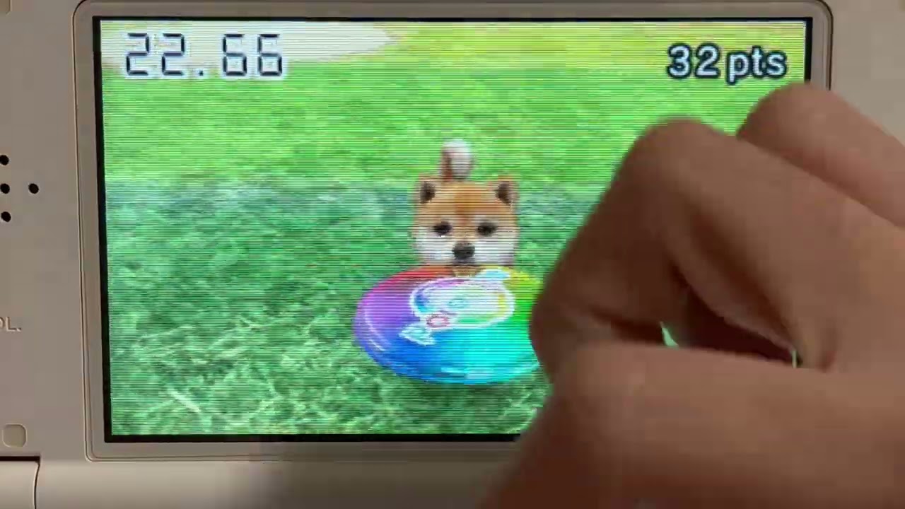 nintendogs + catsディスクドック大会1位