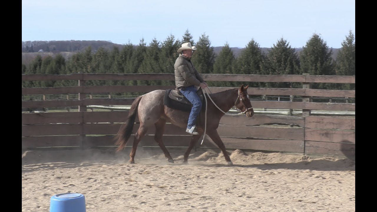 Pick-Up and Release to Steer Your Young Horse (Episode 92) - Herm Gailey: A Lifetime with Horses