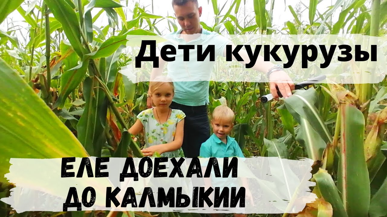 Тяжелое Путешествие в Элисту в Калмыкию на Машине с Детьми! Дорога Тамбов - Волгоград - Элиста