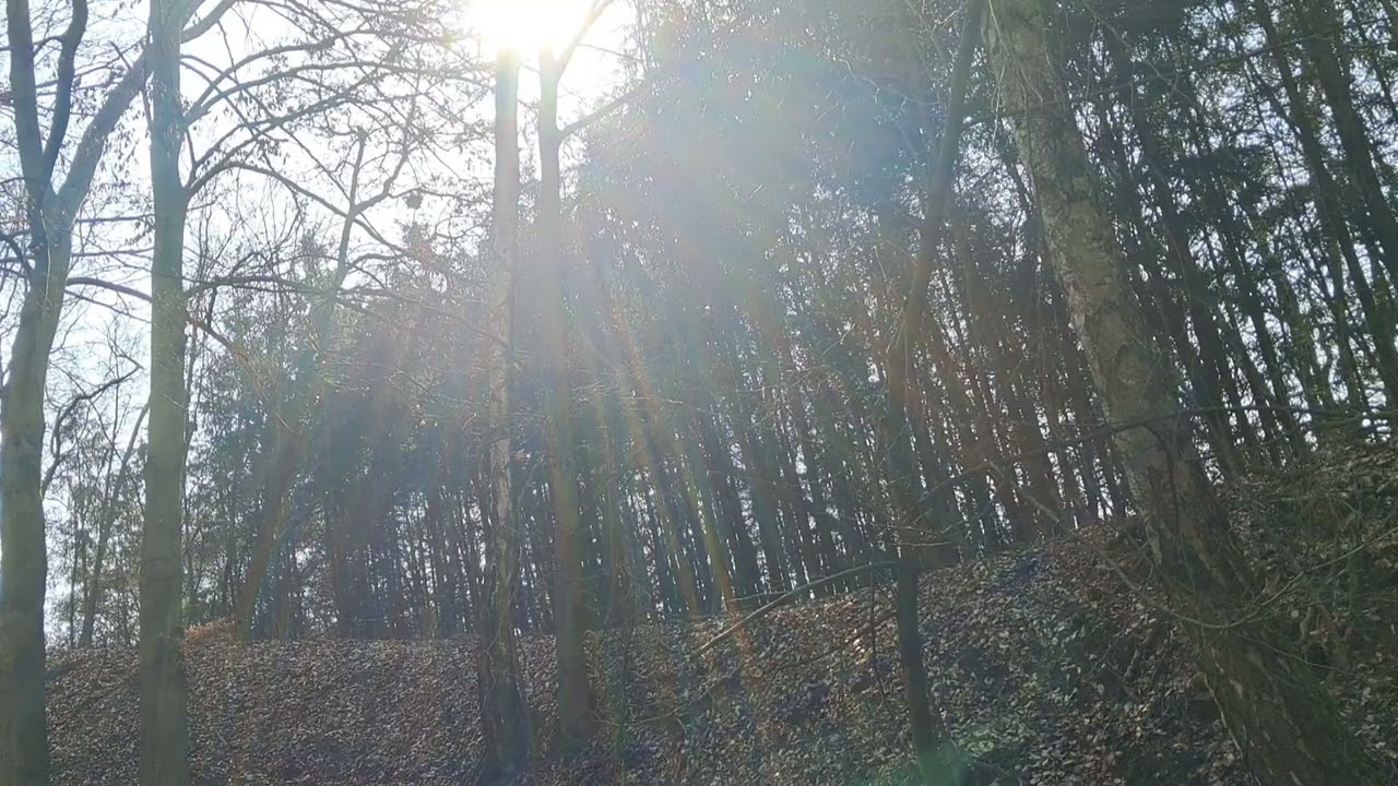 ASMR start of the spring