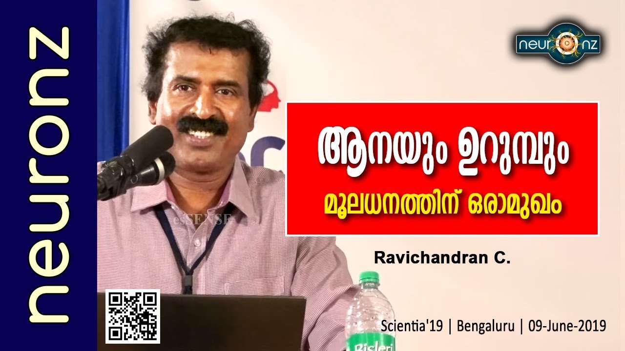 ആനയും ഉറുമ്പും (മൂലധനത്തിന് ഒരാമുഖം) - Ravichandran C
