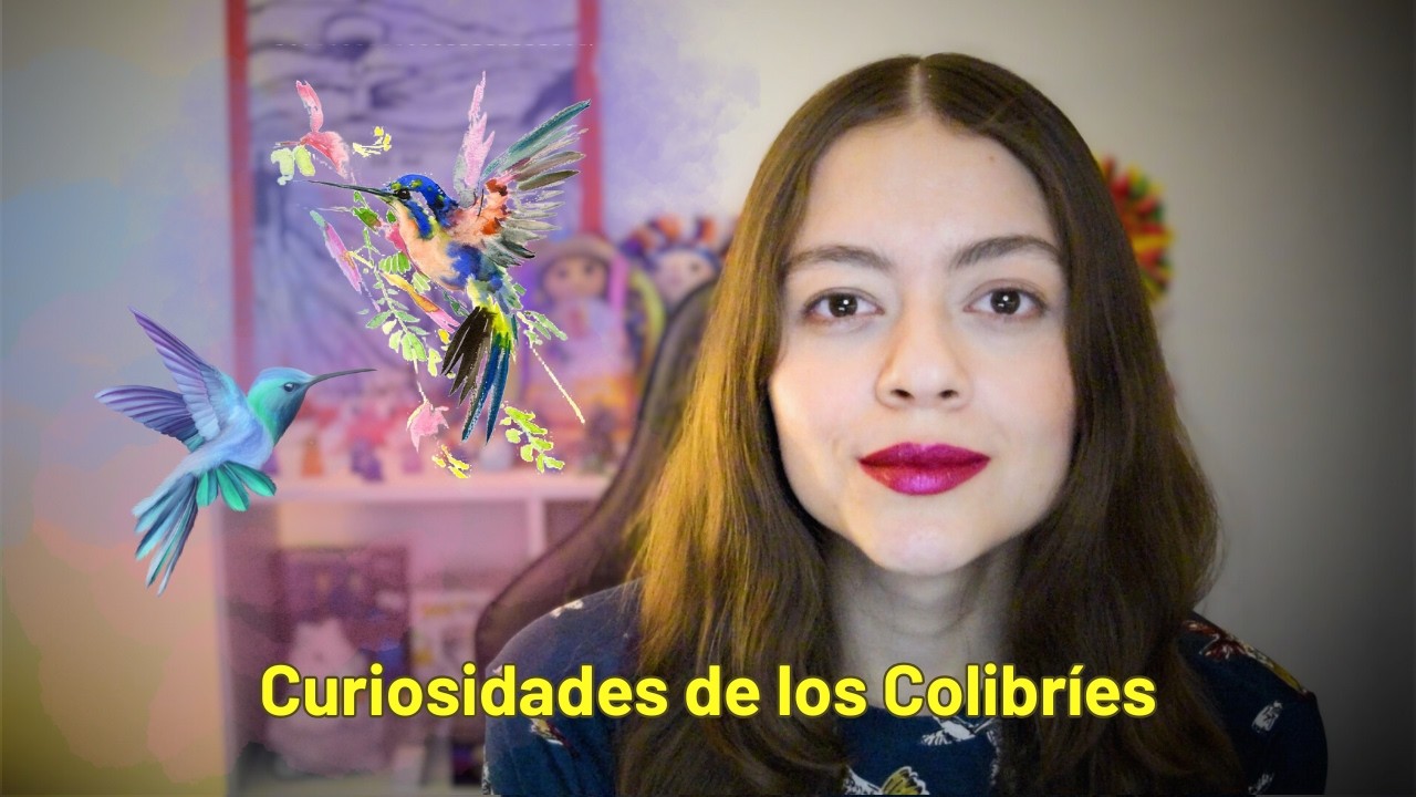ASMR 50 Curiosidades de los colibríes