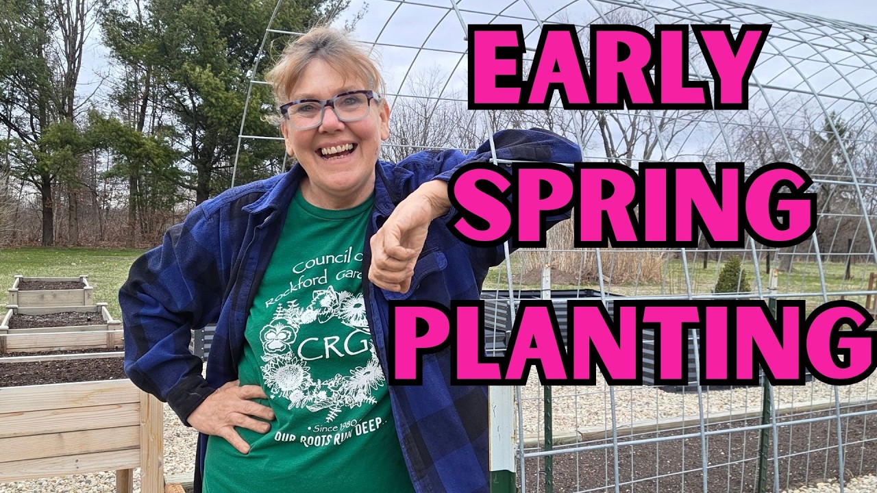 What to Plant in Early Spring (My Eco Garden Round 1)