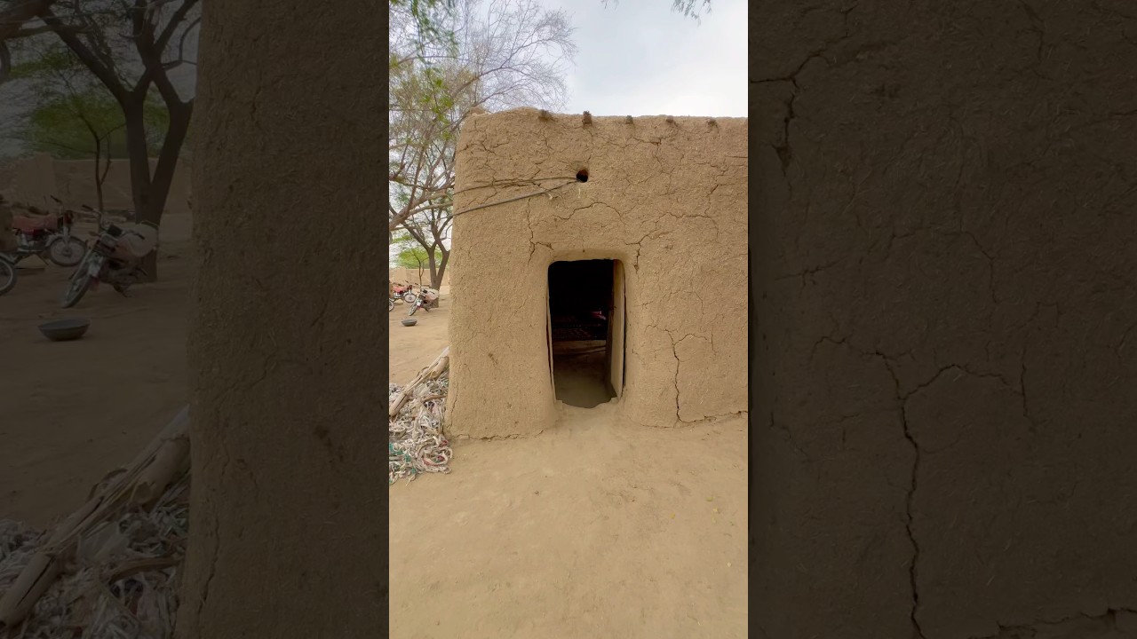 The Beauty of Rural Life Of Punjab