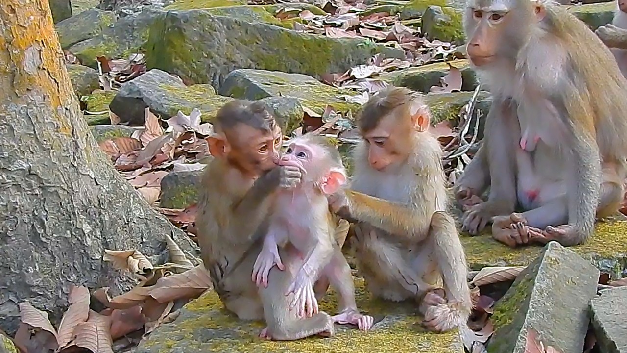 Unforgettable moments of babies Levy and Lily and Kendra