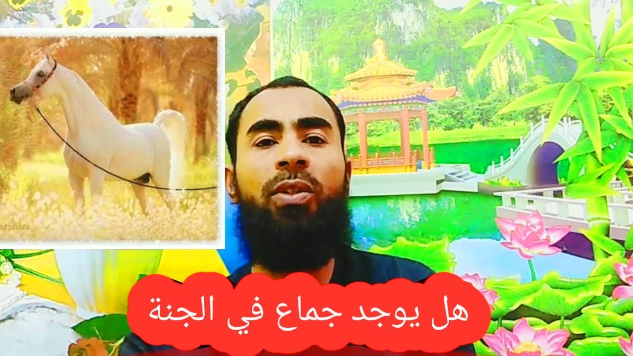 هل يوجد جماع في الجنه هل يكون للنساء حور عين مثل الرجال