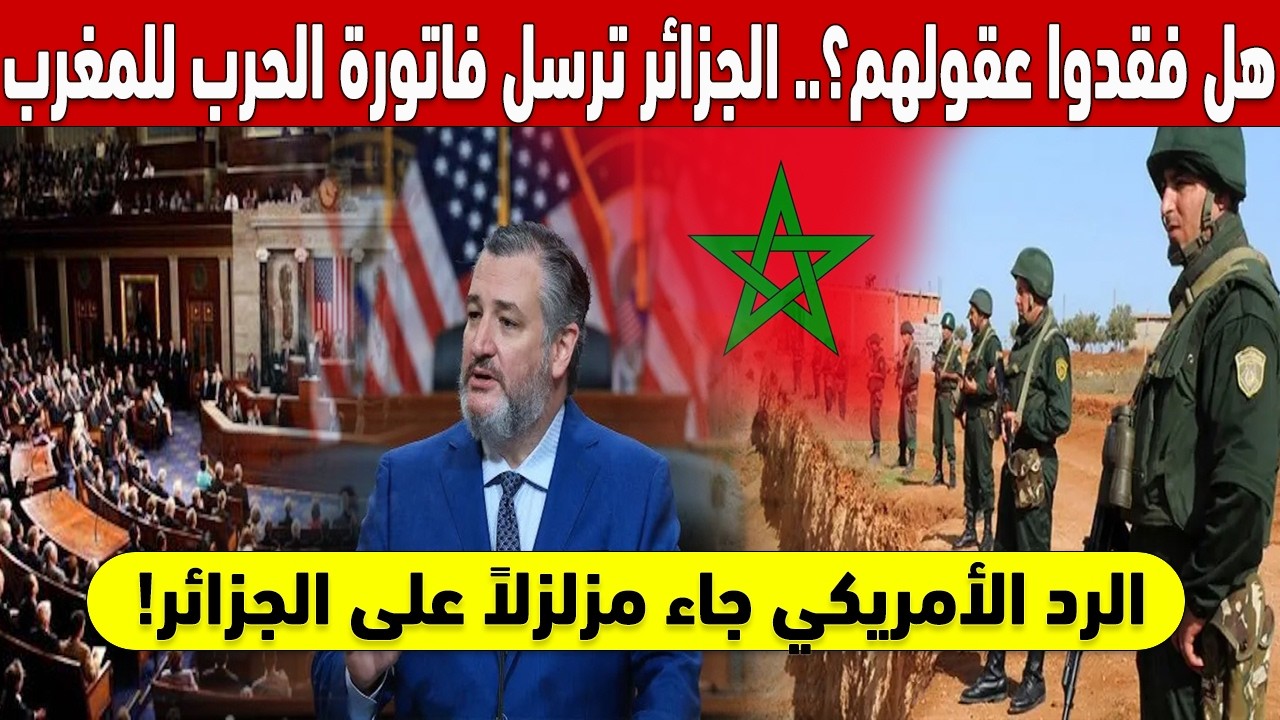 🔥!هل فقدوا عقولهم؟ 🤯 الجزائر ترسل 