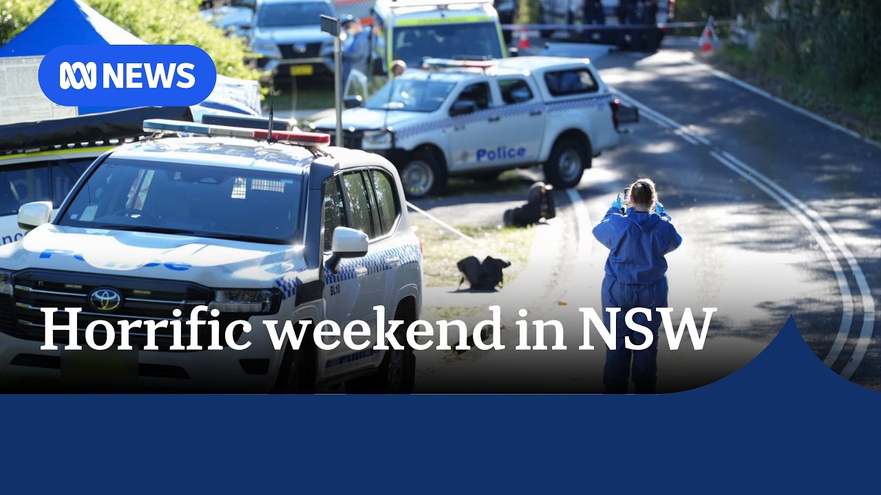 Spate of alleged domestic violence murders in NSW renews calls for action | ABC NEWS
