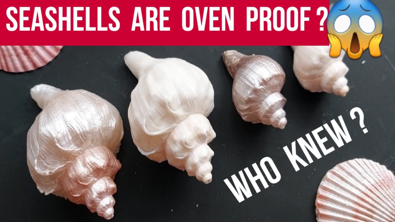 Roasting Seashells to make a Silicone Mould