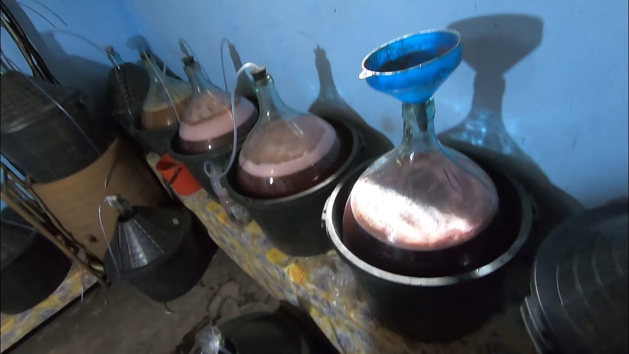 Cules struguri, zdrobit struguri, stors la teasc ( presă), pus mustul în damigene pt fiert.