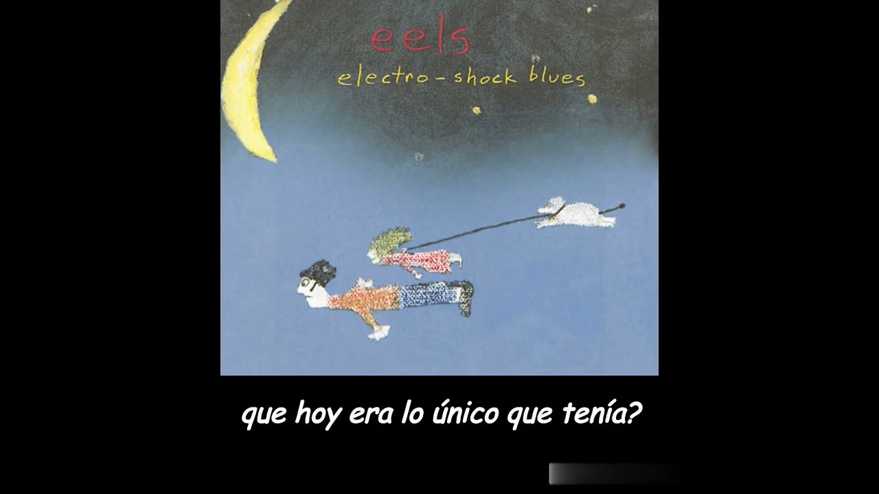 Eels - Hospital Food (subtitulada en español)
