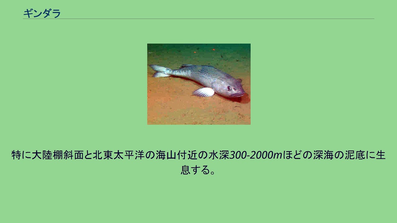 ギンダラ