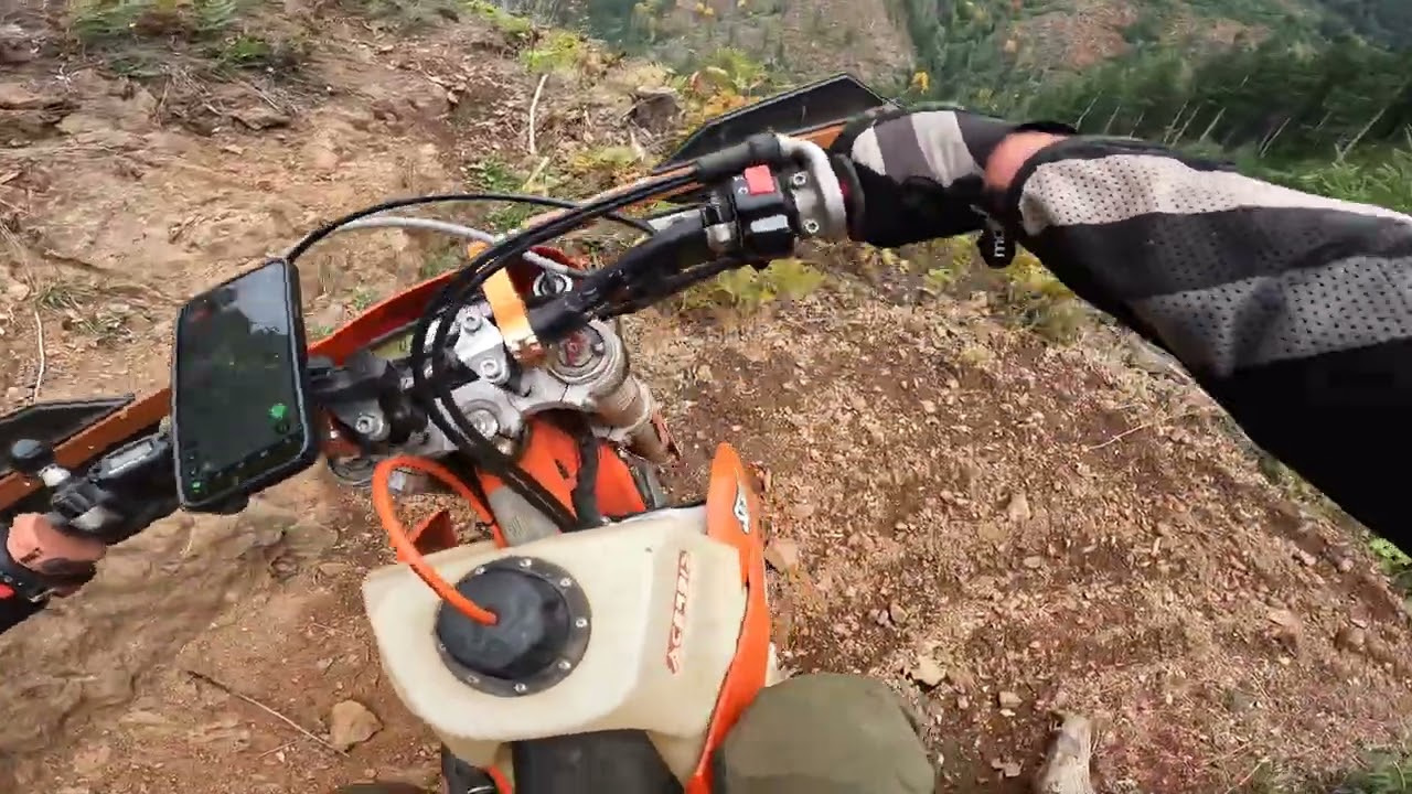 Where beauty and accountability meet. This is why we ride. Tillamook single track.