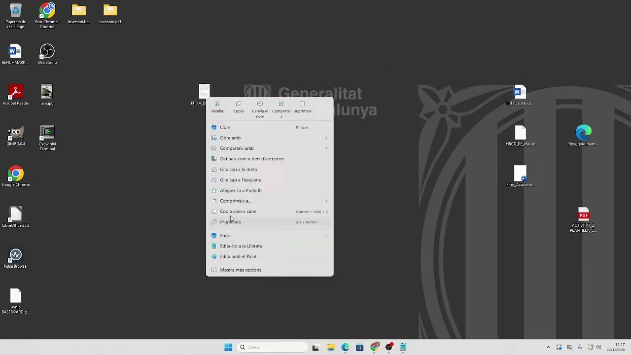Correccio Fitxa Intel 22 G 2026