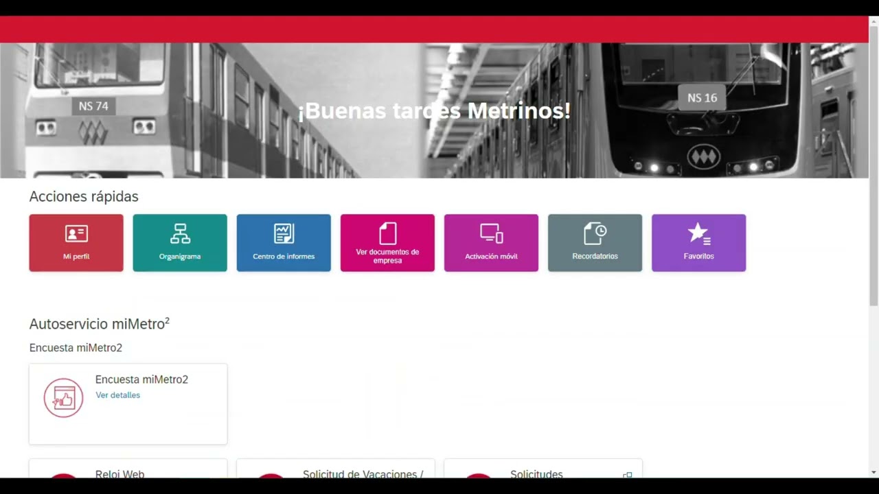 Video mimetro2