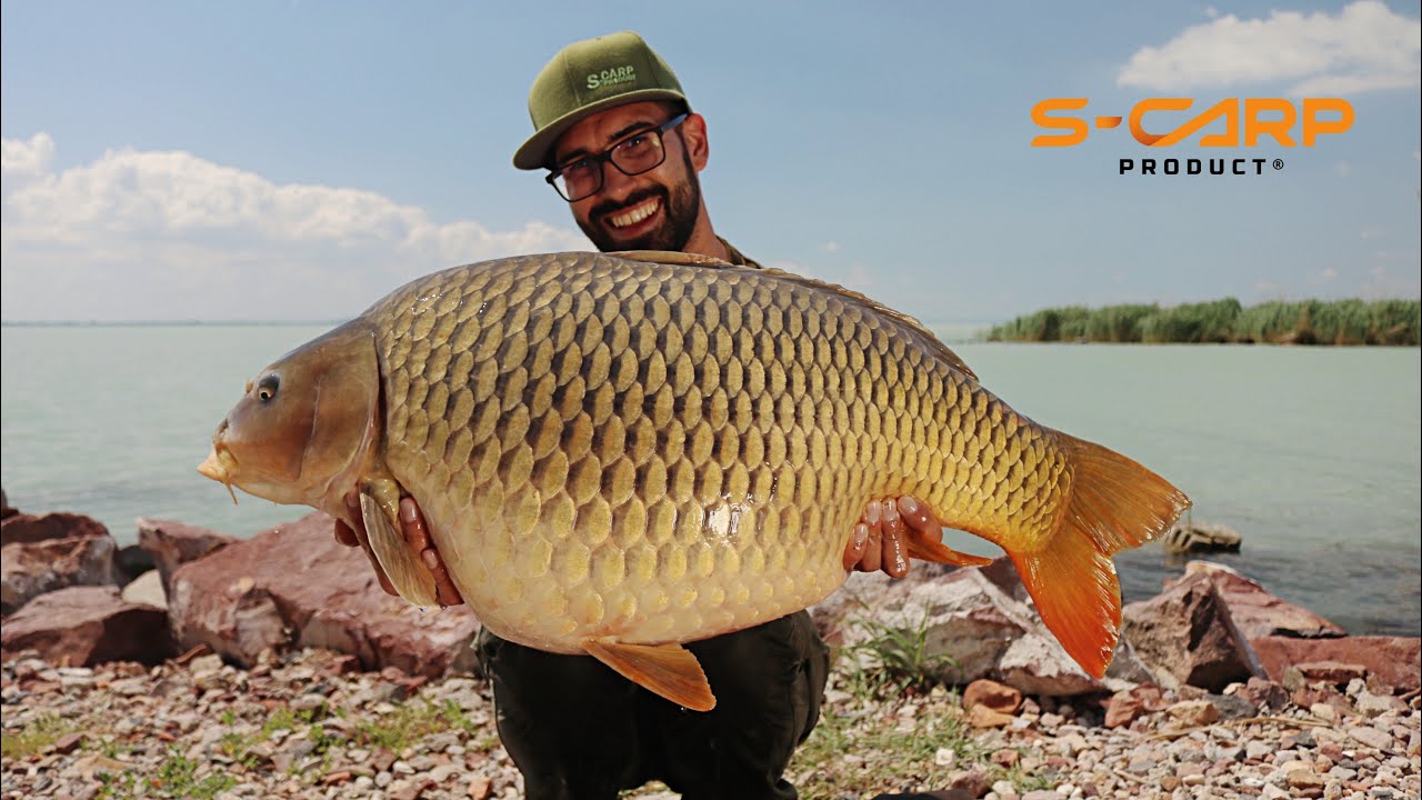 S-carp Product Balaton carp fishing trailer