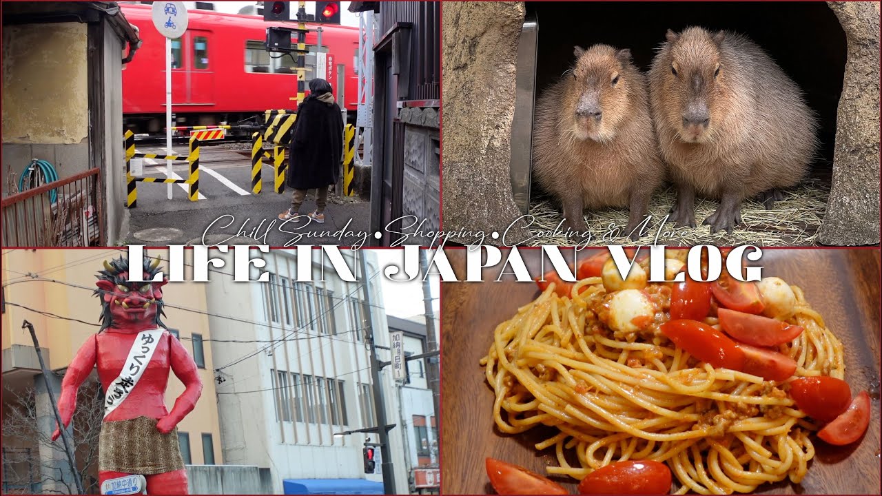 My life in Japan - Chill Sunday Funday - Sightseeing and more…