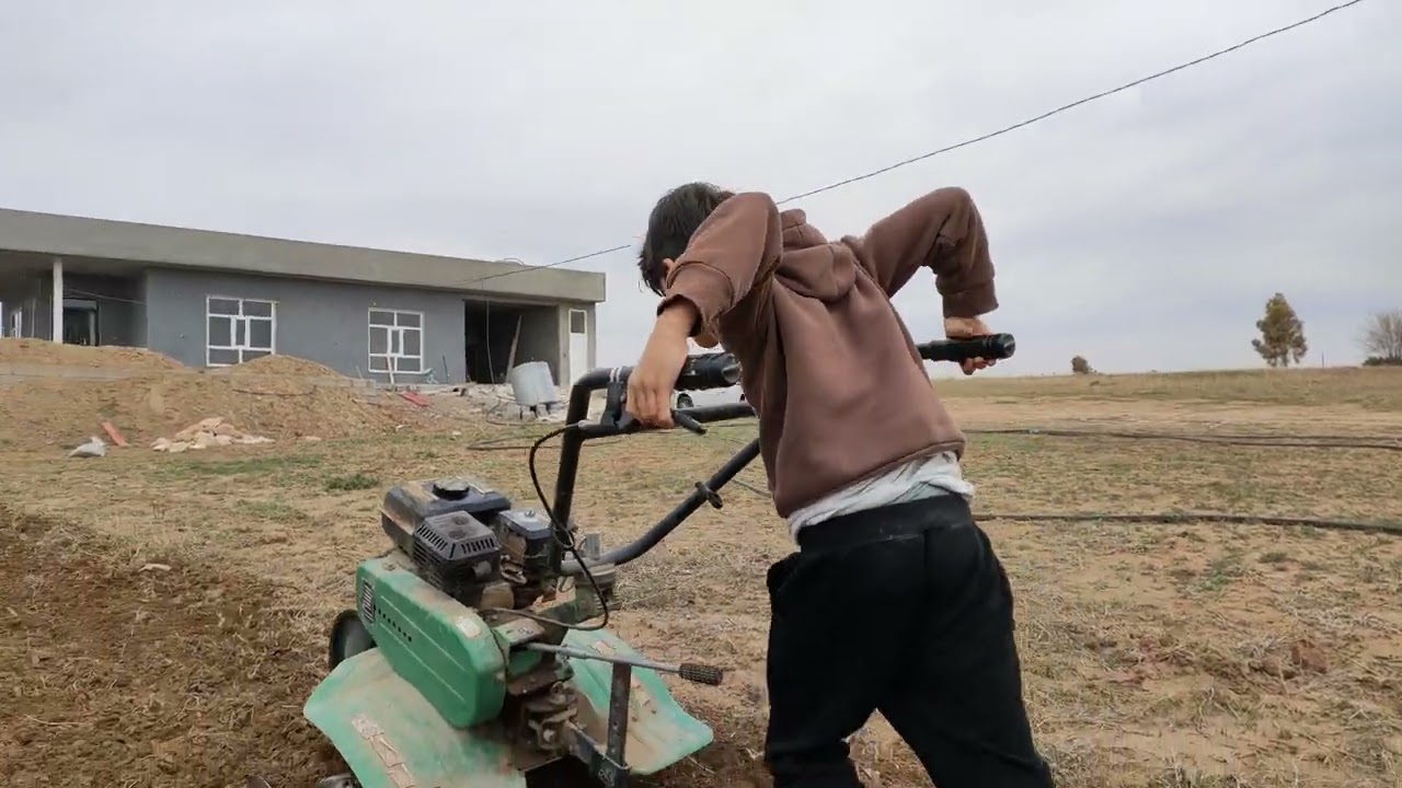 پیاز چاندن