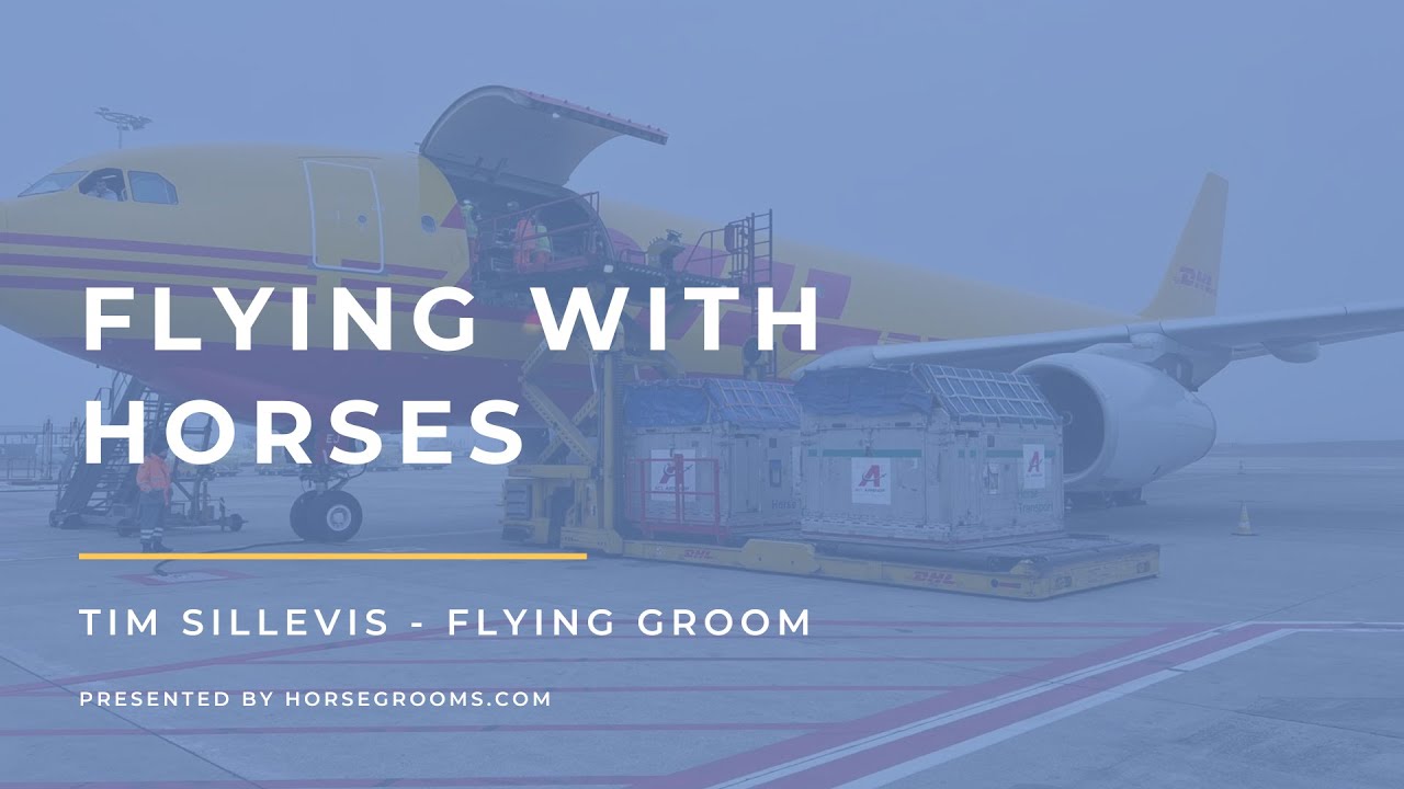 What It's Like to Fly Horses Around the World – With International Flight Groom Tim Sillevis