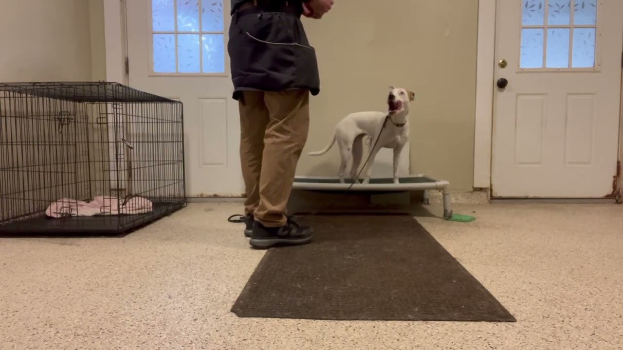Frankie 02 03 26
