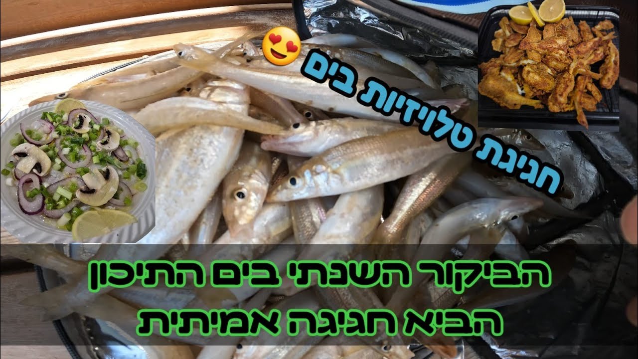 חגיגת טלויזיות עם עשרות רבות של דגים, הגעתי לביקור בים כי מסורת זאת מסורת...