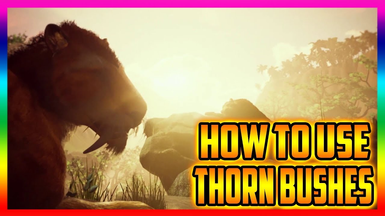 Ancestors The Humankind Odyssey How To Use Thorn Bushes