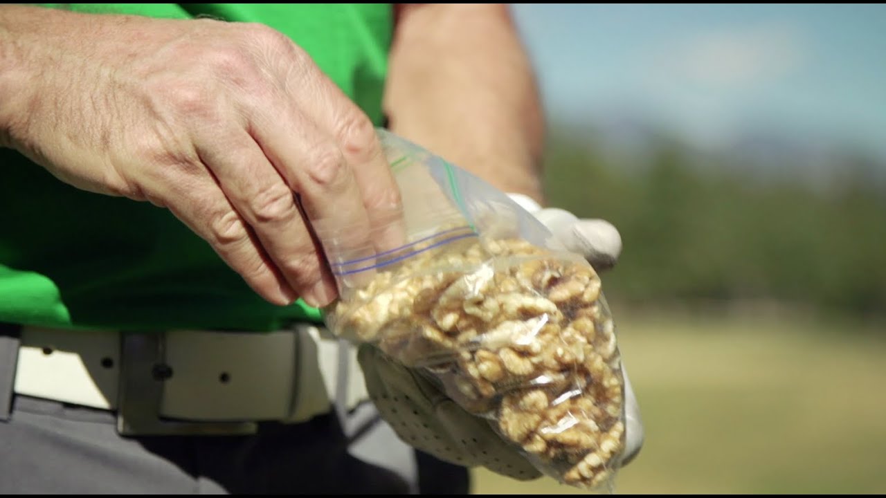 Golf Nutrition: Better Golf Course Snacks
