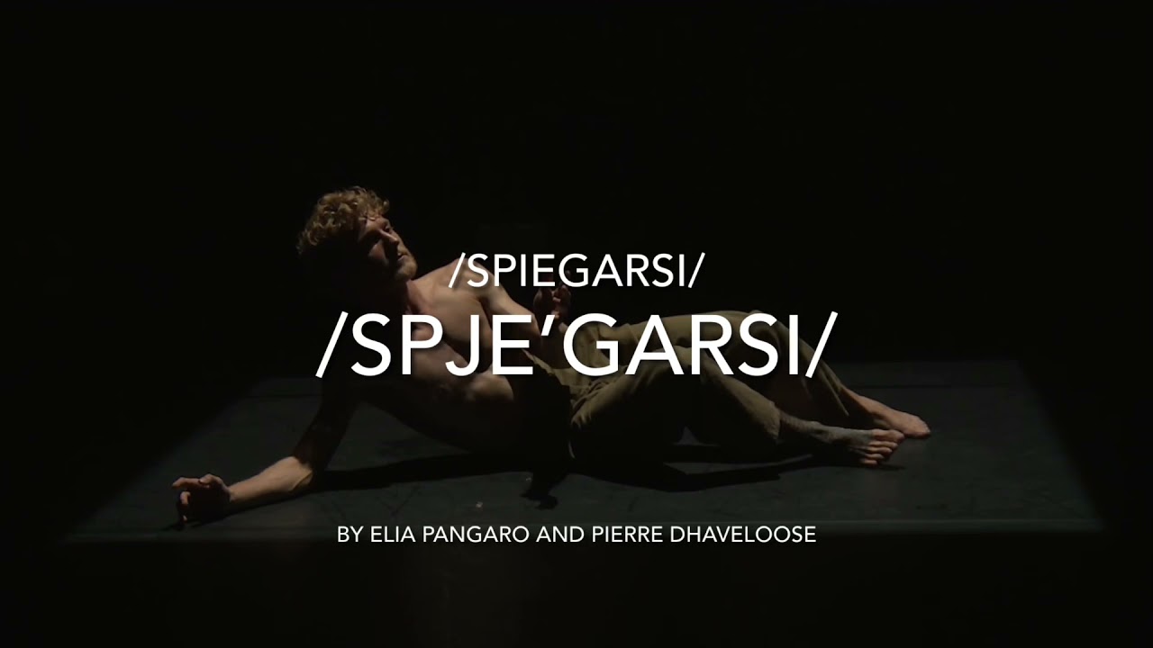 Pierre Dhaveloose SHOWREEL