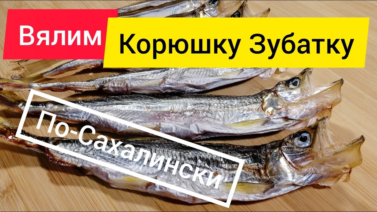 Как засолить Корюшку Зубатку