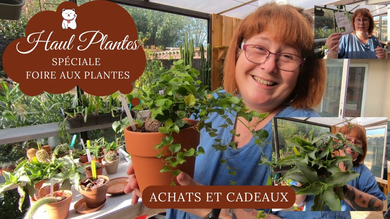 HAUL PLANTES 🌿Spéciale foire aux plantes | pleins de pépites achats et cadeaux | Caudex etc...