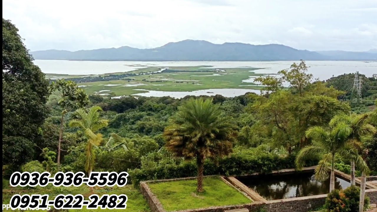 #vlog91  7HECTARES PROPERTY IN LUMBAN LAGUNA - 400/SQM