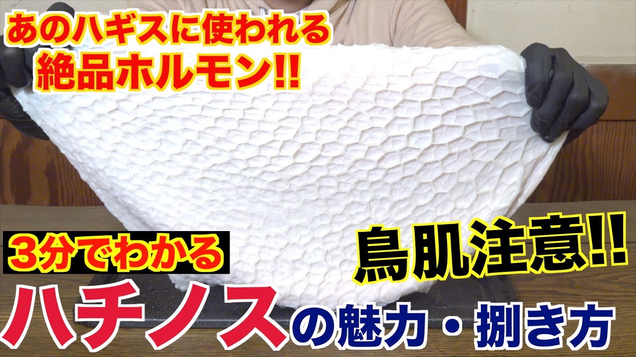 【集合体恐怖症】見た目はグロいけど美味い!!「ハチノス」の魅力と捌き方
