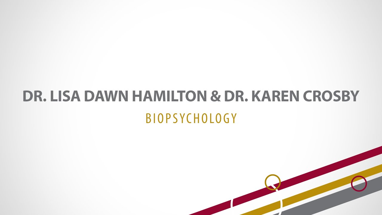 Mini Lecture - Biopsychology