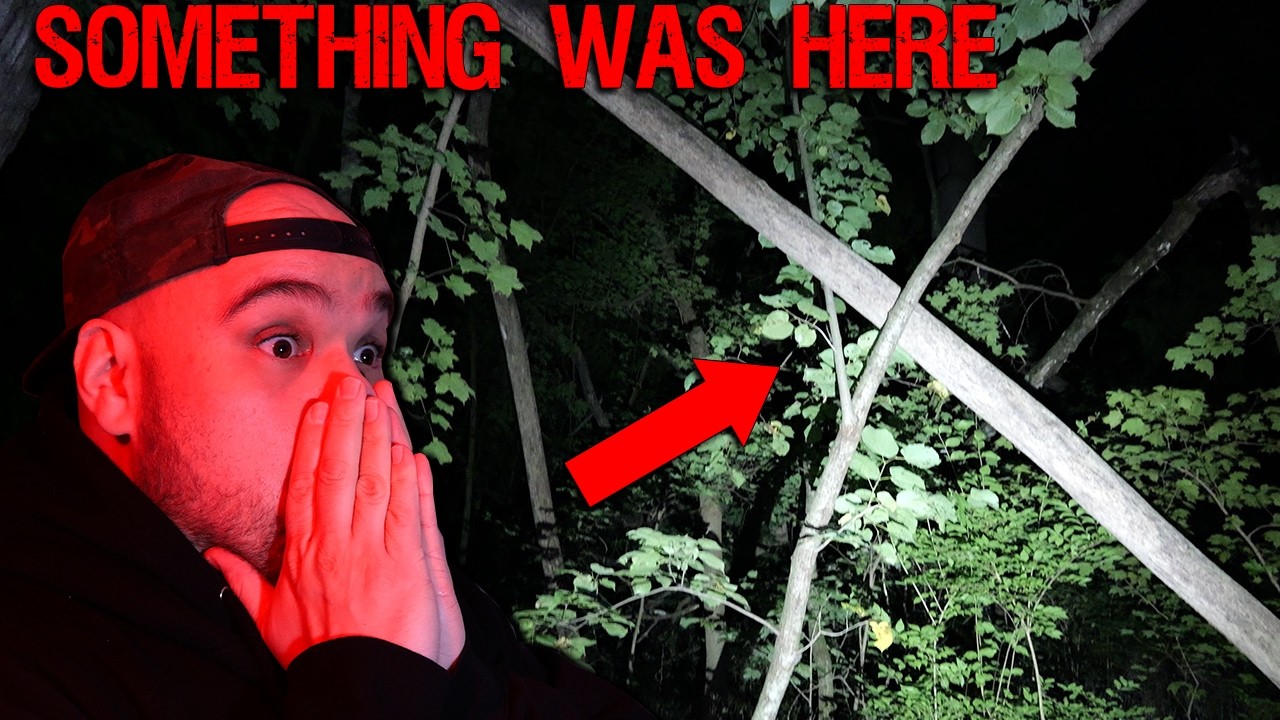 Heard KNOCKS and found a STRUCTURE in the BIGFOOT FOREST!