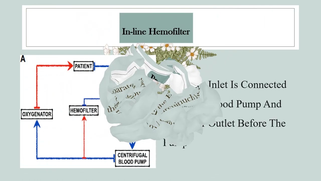 ECMO &CRRT(cotinous renal replacement therapy)